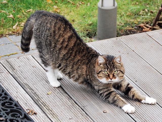 Stretching with Resistance