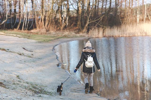 Rest versus Activity for Healing