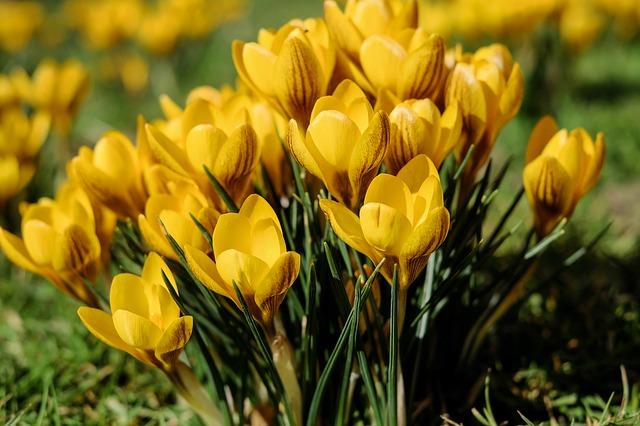 Say Hello to Spring, Your Season of Fitness