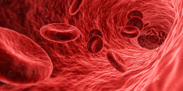 Why Circulation Counts for Vitality