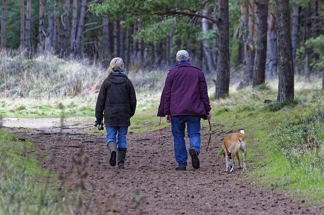 Turn Walking into A Full Body Tonic