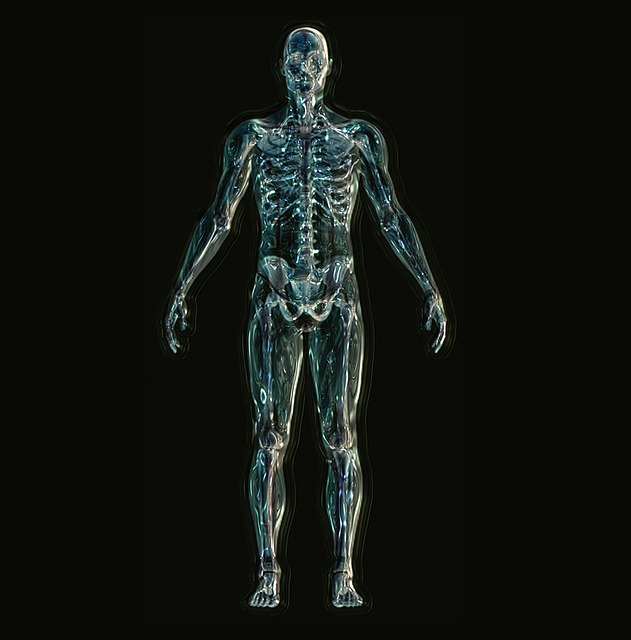 A More Resilient Spine Makes a More Vital Life