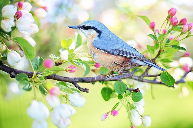 Spring is Here, Time to Loosen Up