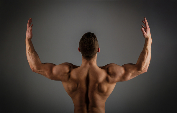 Tips to Build a Healthy Back
