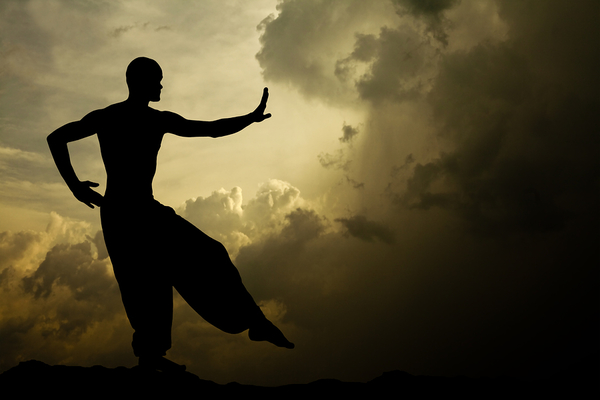 Chiropractic for the Martial Arts