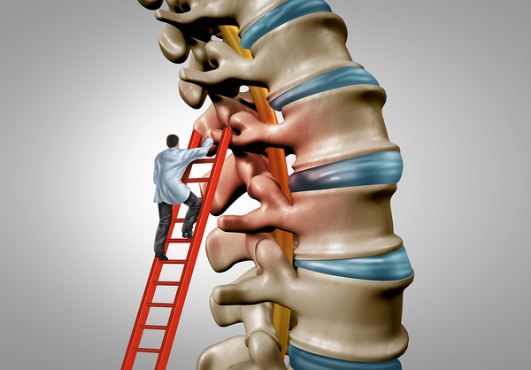 The Importance of Maintaining Your Spine