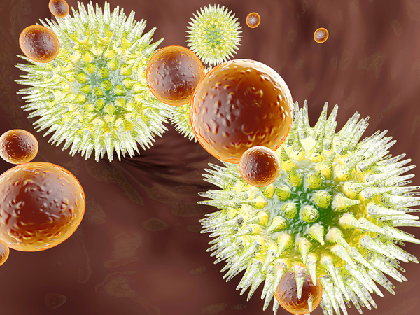 3 Easy Immune System Hacks