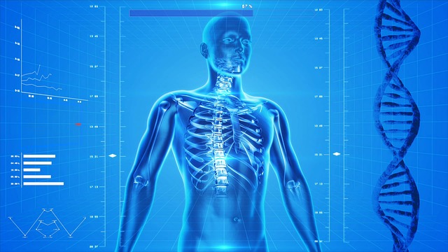 Neuro-Muscular Re-education